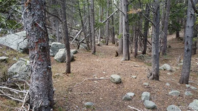 000 Brook Drive Idaho Springs, CO 80452