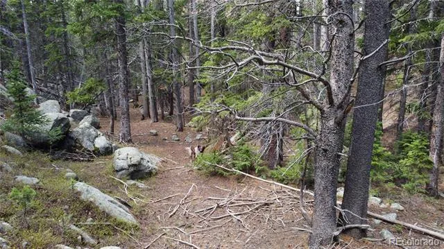 000 Brook Drive Idaho Springs, CO 80452