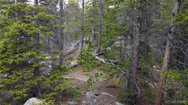 000 Brook Drive Idaho Springs, CO 80452