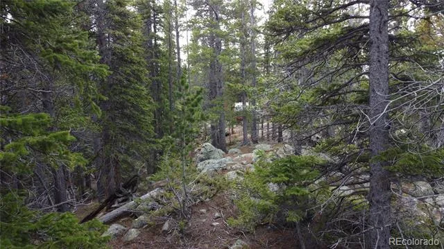 000 Brook Drive Idaho Springs, CO 80452