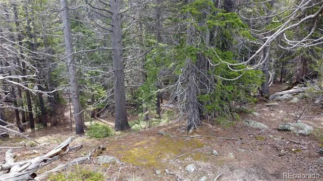 000 Brook Drive Idaho Springs, CO 80452