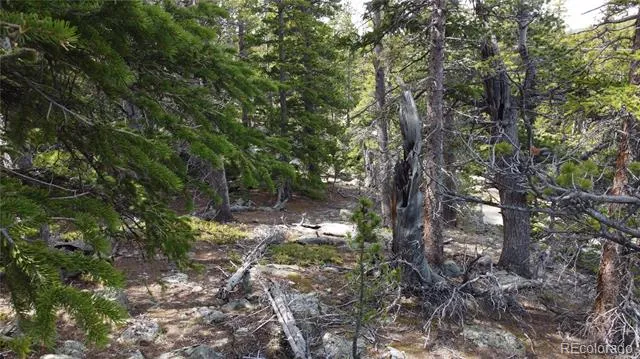 000 Brook Drive Idaho Springs, CO 80452