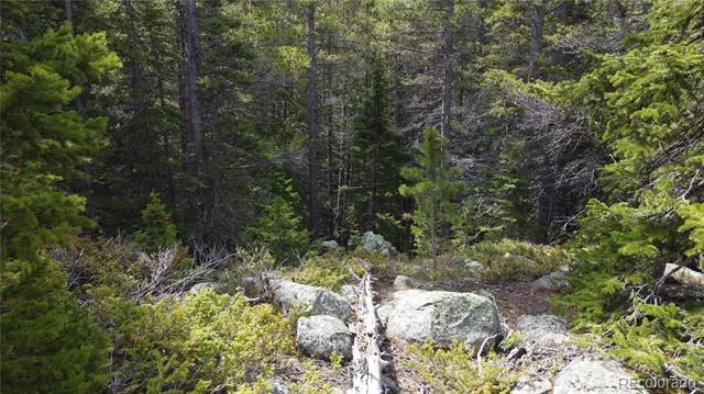 000 Brook Drive Idaho Springs, CO 80452