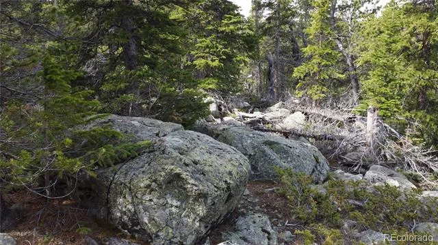 000 Brook Drive Idaho Springs, CO 80452