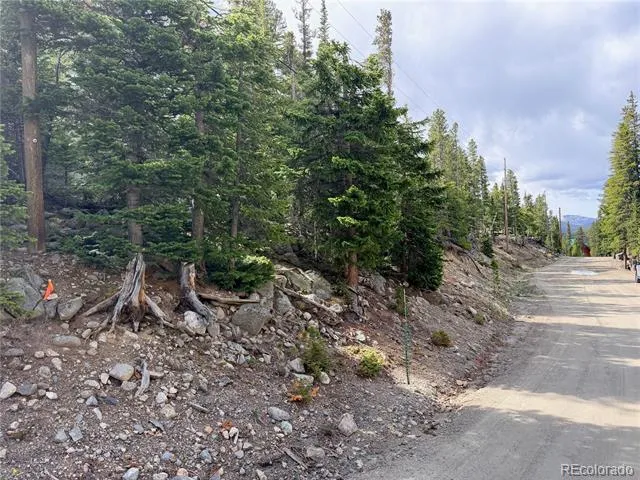 000 Brook Drive Idaho Springs, CO 80452