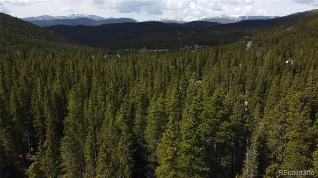 000 Brook Drive Idaho Springs, CO 80452