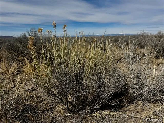 Lot 39 Big Bend Road Blanca, CO 81123