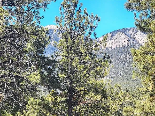 116 Neal Street Bailey, CO 80421
