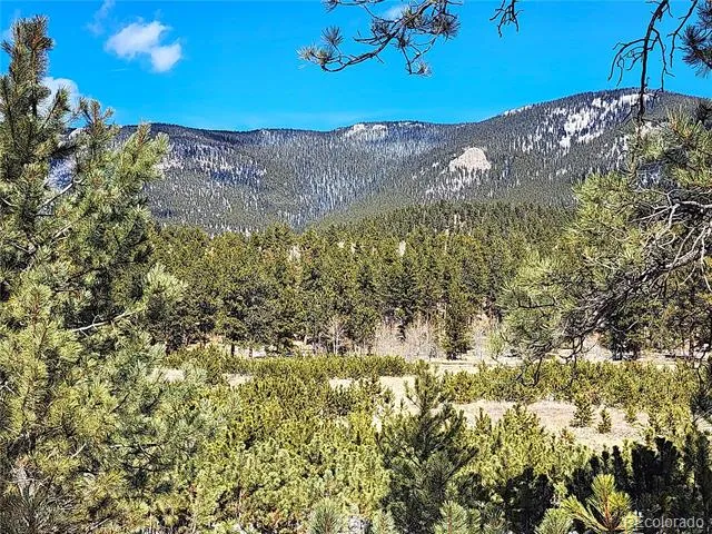 116 Neal Street Bailey, CO 80421