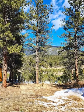 116 Neal Street Bailey, CO 80421