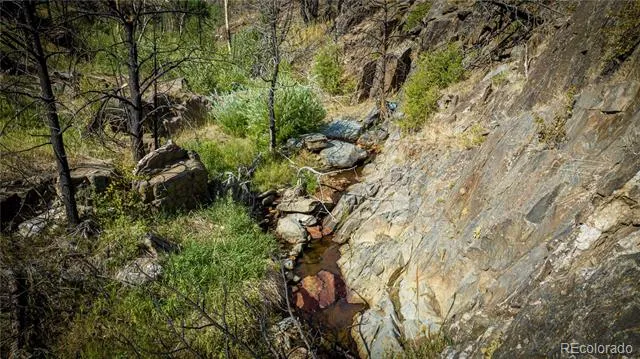 1975 Big Bear Road Loveland, CO 80538