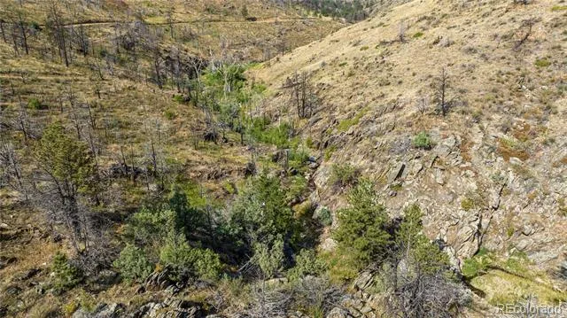 1975 Big Bear Road Loveland, CO 80538