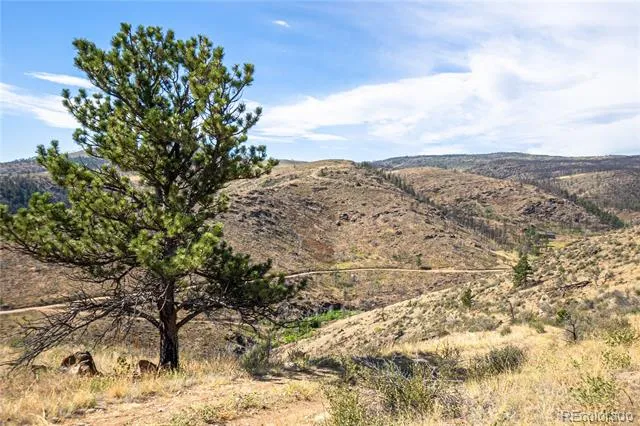 1975 Big Bear Road Loveland, CO 80538