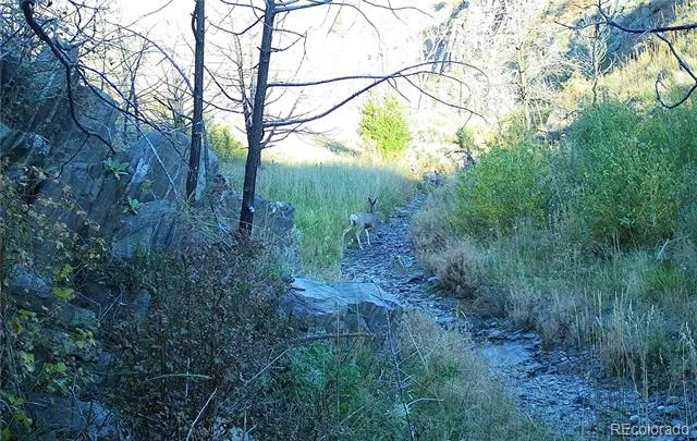 1975 Big Bear Road Loveland, CO 80538