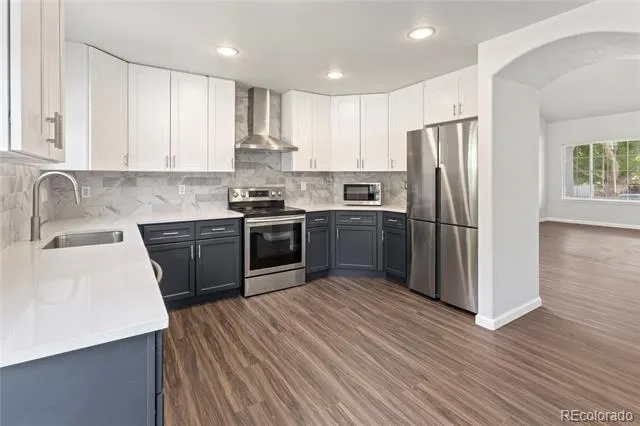 10439 Cheetah Winds Lone Tree, CO 80124