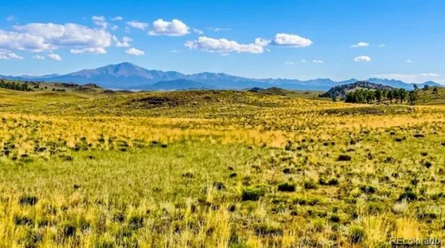 123 Shawnee Trail Hartsel, CO 80449