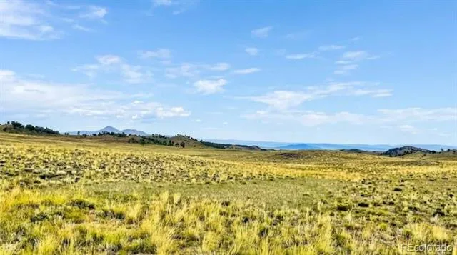 123 Shawnee Trail Hartsel, CO 80449