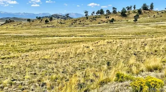 123 Shawnee Trail Hartsel, CO 80449
