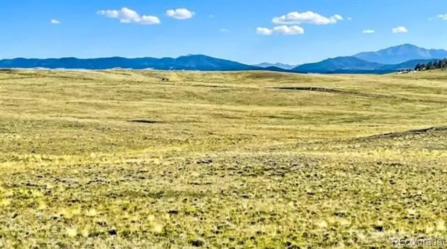 123 Shawnee Trail Hartsel, CO 80449