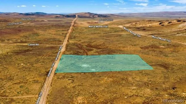 123 Shawnee Trail Hartsel, CO 80449
