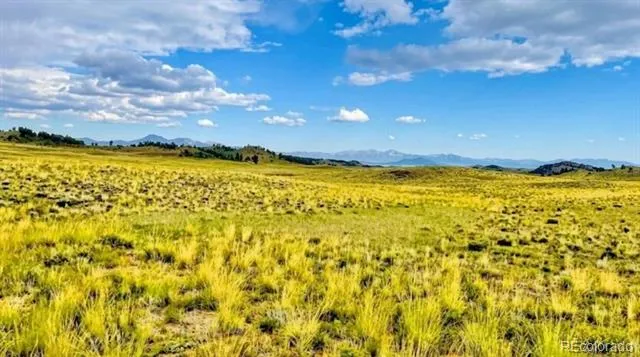 123 Shawnee Trail Hartsel, CO 80449