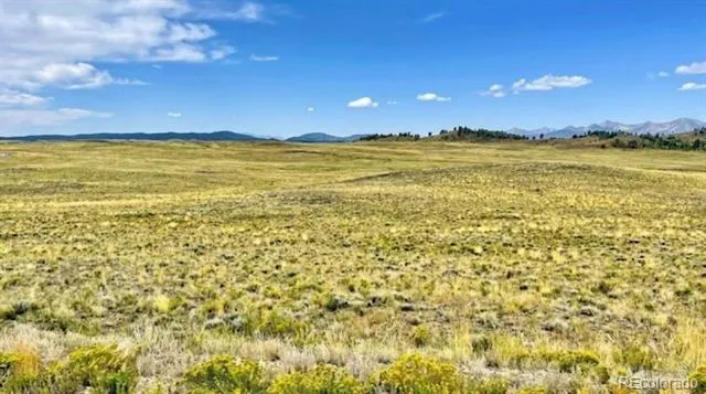 123 Shawnee Trail Hartsel, CO 80449