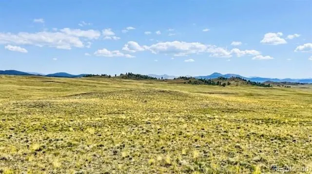 123 Shawnee Trail Hartsel, CO 80449