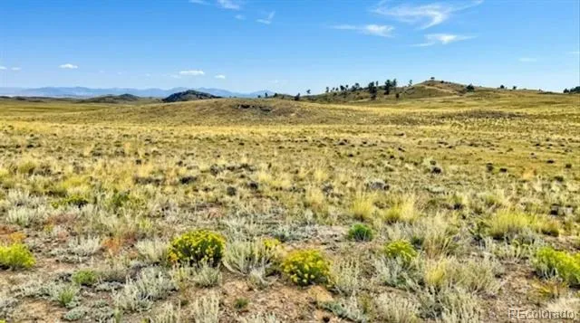 123 Shawnee Trail Hartsel, CO 80449