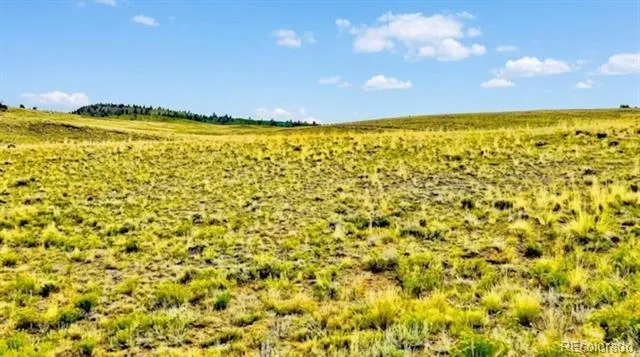 123 Shawnee Trail Hartsel, CO 80449