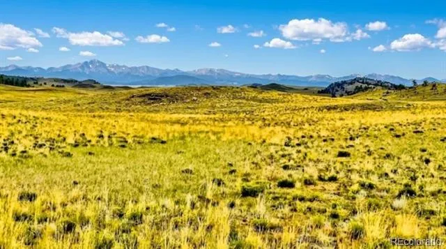 123 Shawnee Trail Hartsel, CO 80449
