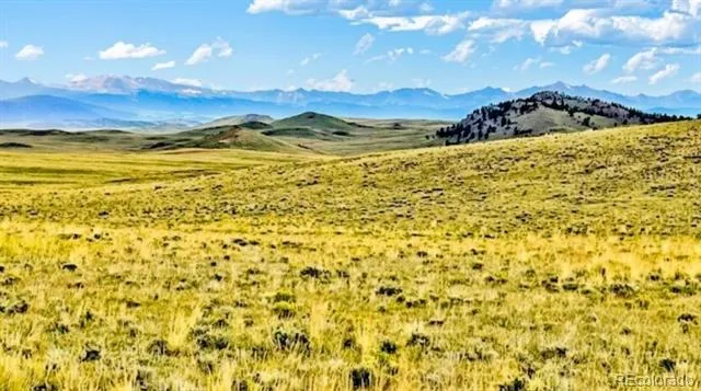 123 Shawnee Trail Hartsel, CO 80449