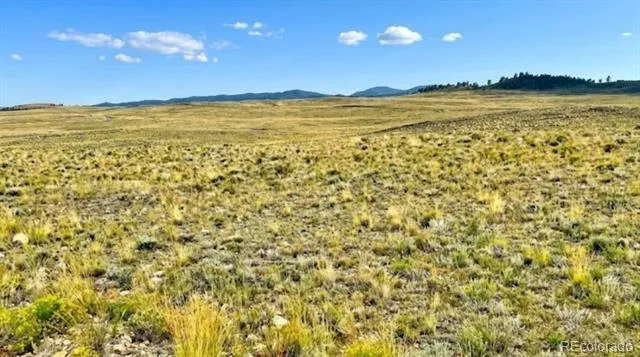 123 Shawnee Trail Hartsel, CO 80449