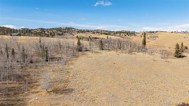 600 Pronghorn Jefferson, CO 80456