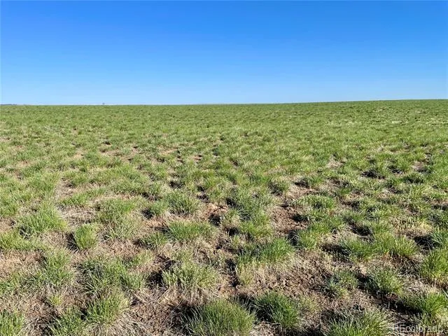 County Road 125 Deer Trail, CO 80105