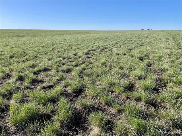 County Road 125 Deer Trail, CO 80105