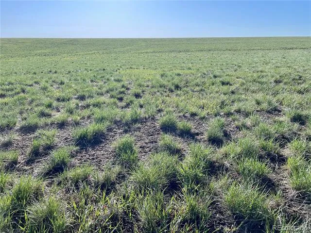 County Road 125 Deer Trail, CO 80105