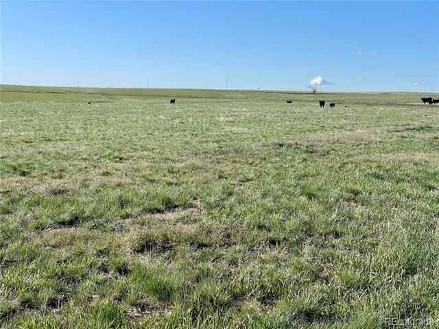 County Road 125 Deer Trail, CO 80105