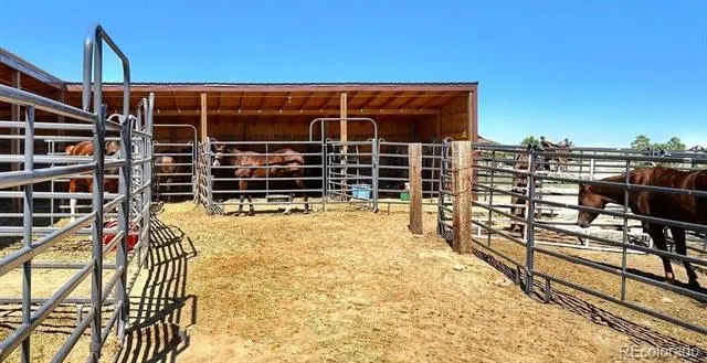 20893 Silverado Hill View Colorado Springs, CO 80928