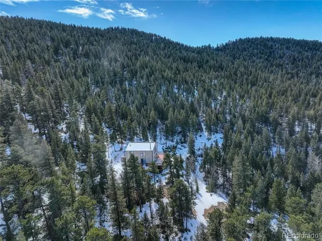 33804 Bergen View Trail Evergreen, CO 80439