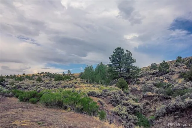 4905 Jaffe Road Fort Garland, CO 81133