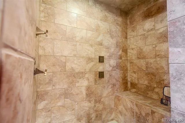 4905 Jaffe Road Fort Garland, CO 81133