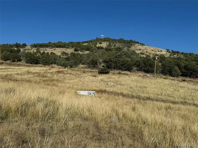 Lot 48,49 Copper Gultch Cotopaxi, CO 81223