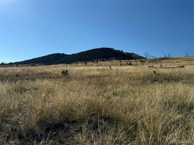 Lot 48,49 Copper Gultch Cotopaxi, CO 81223