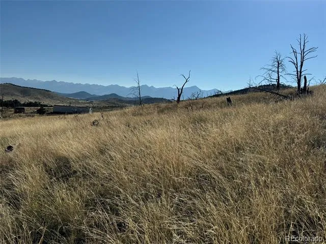 Lot 48,49 Copper Gultch Cotopaxi, CO 81223
