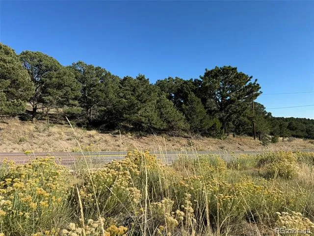 Lot 48,49 Copper Gultch Cotopaxi, CO 81223