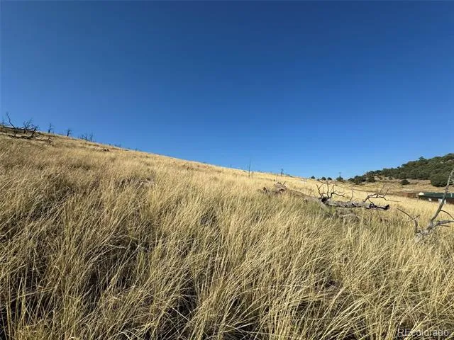 Lot 48,49 Copper Gultch Cotopaxi, CO 81223