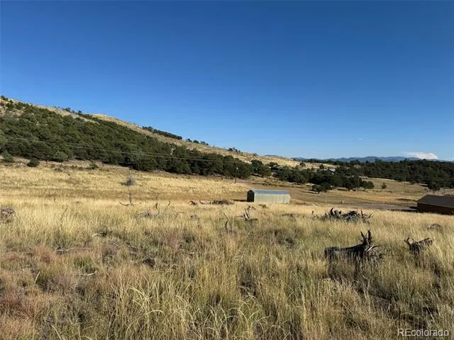 Lot 48,49 Copper Gultch Cotopaxi, CO 81223