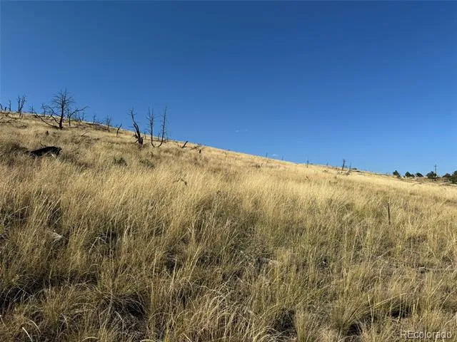 Lot 48,49 Copper Gultch Cotopaxi, CO 81223
