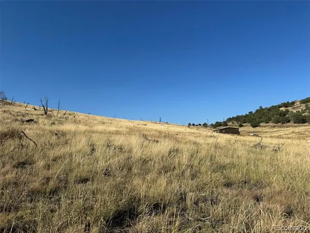 Lot 48,49 Copper Gultch Cotopaxi, CO 81223