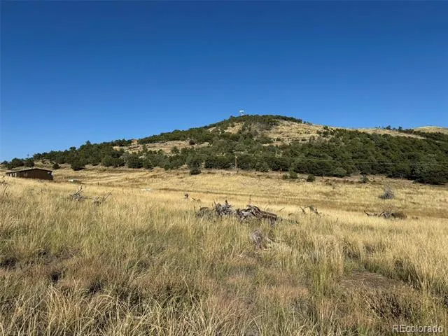 Lot 48,49 Copper Gultch Cotopaxi, CO 81223
